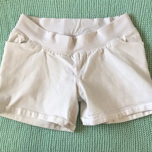 Liz Lange Maternity Shorts